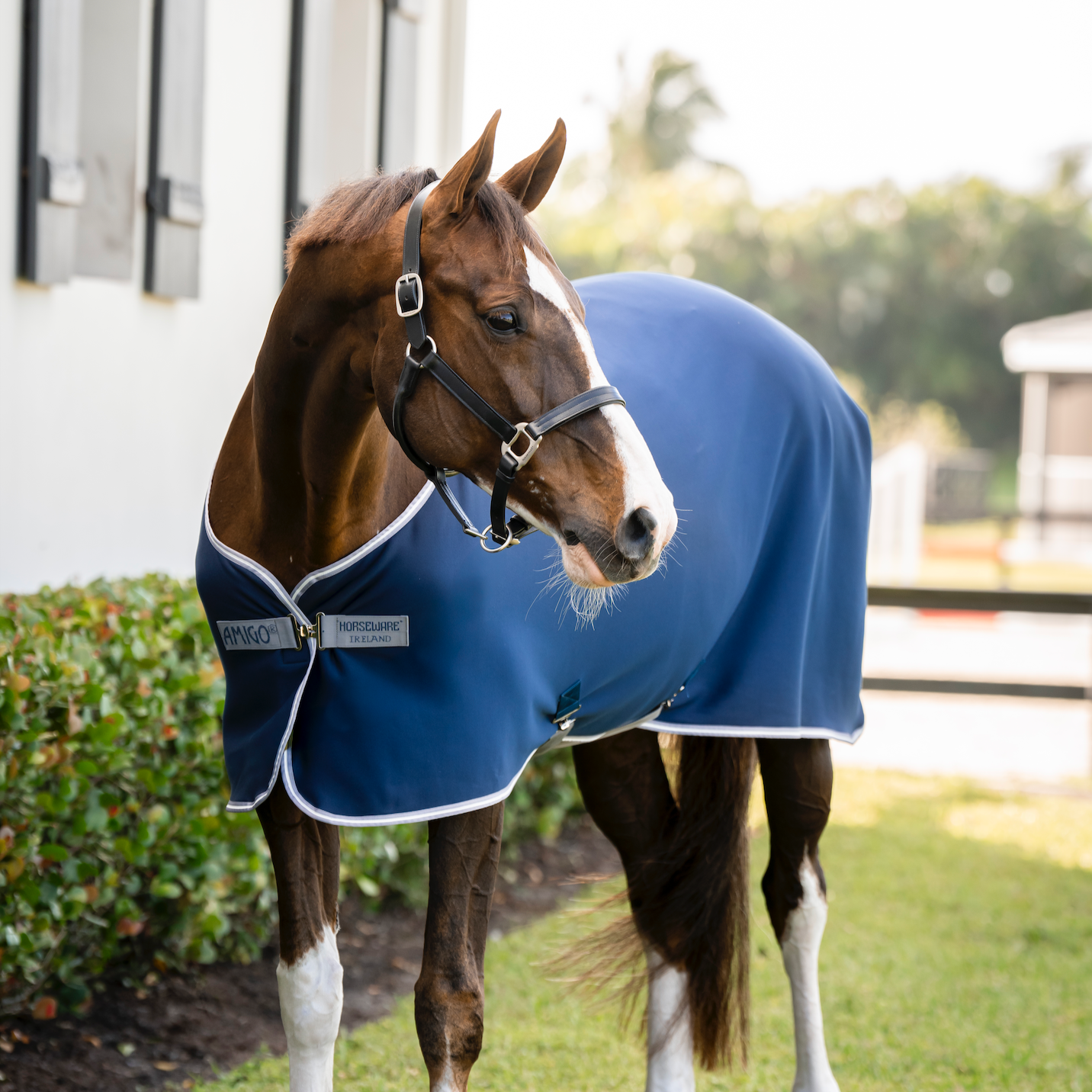 Amigo Jersey Cooler
