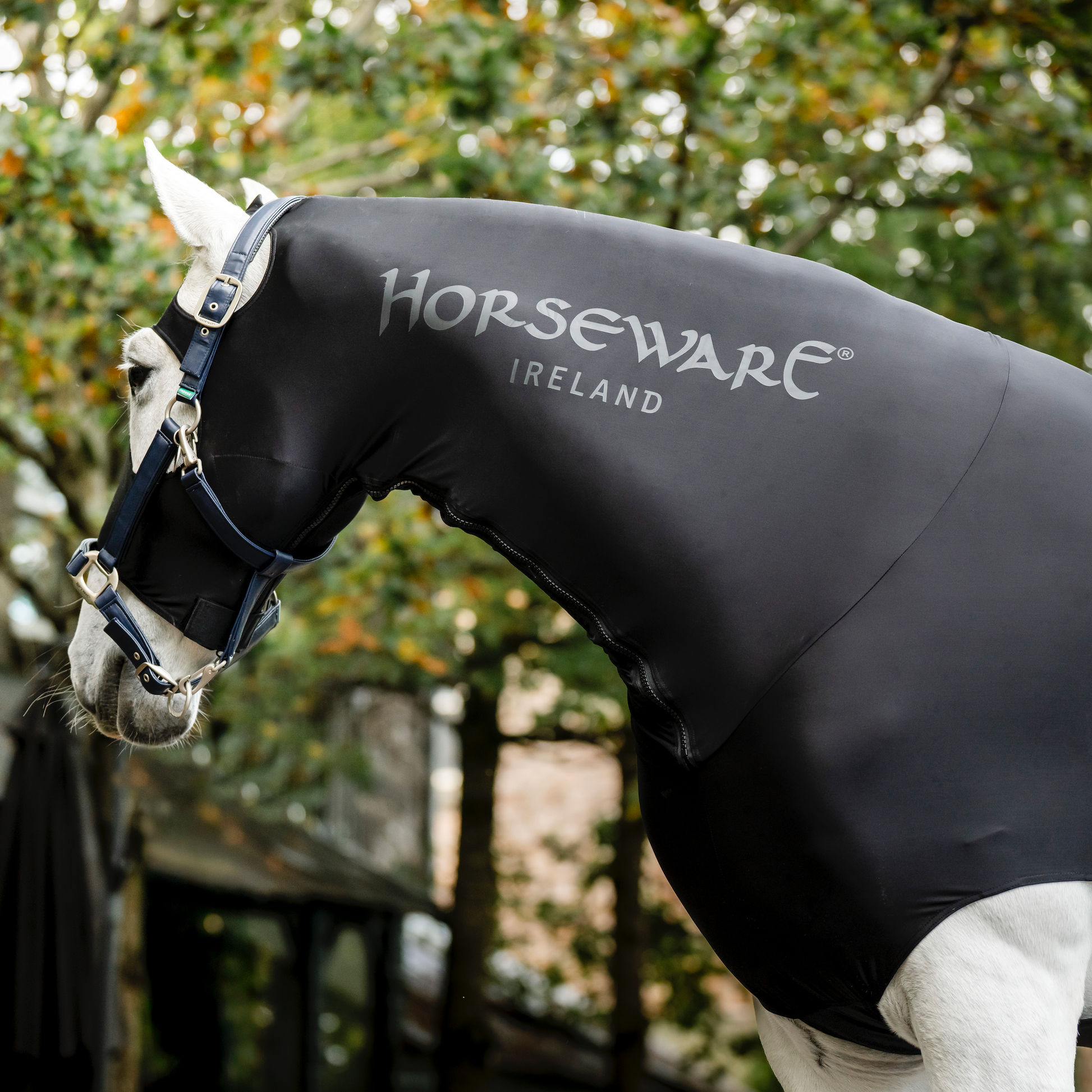 Horseware Ireland Chemise Séchante Rambo Airmax Cooler - Boutique Equus Horseware Ireland Chemise Séchante Rambo Airmax Cooler - Boutique Equus
