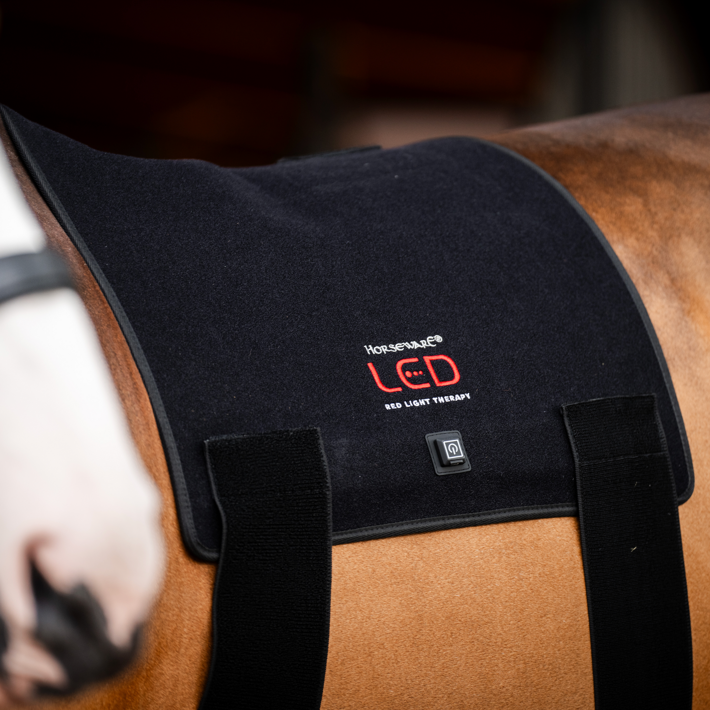 Horseware LED Red Light Therapy Pad