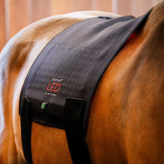 Horseware LED Red Light Therapy Pad