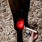 Horseware LED Red Light Therapy Wand