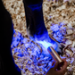 Horseware LED Red Light Therapy Wand