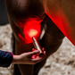 Horseware LED Red Light Therapy Wand