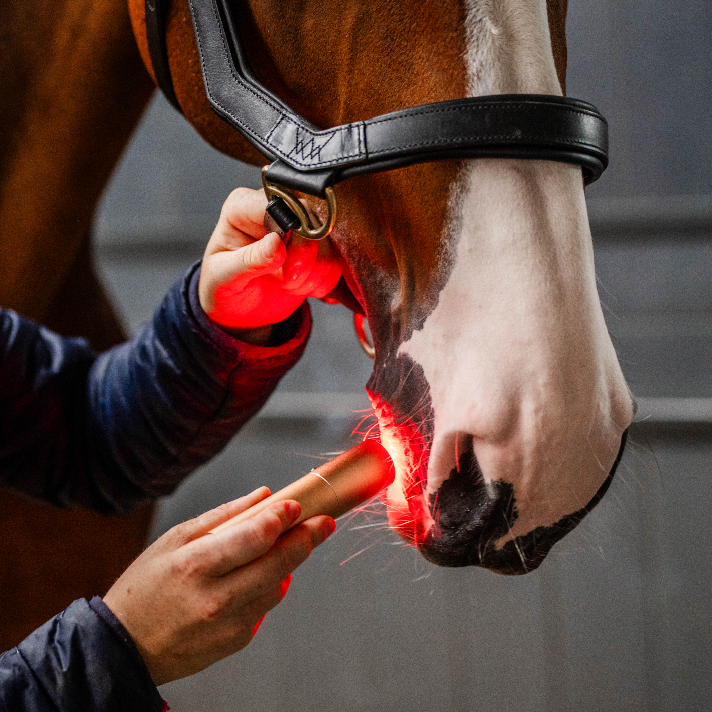 Horseware LED Red Light Therapy Wand