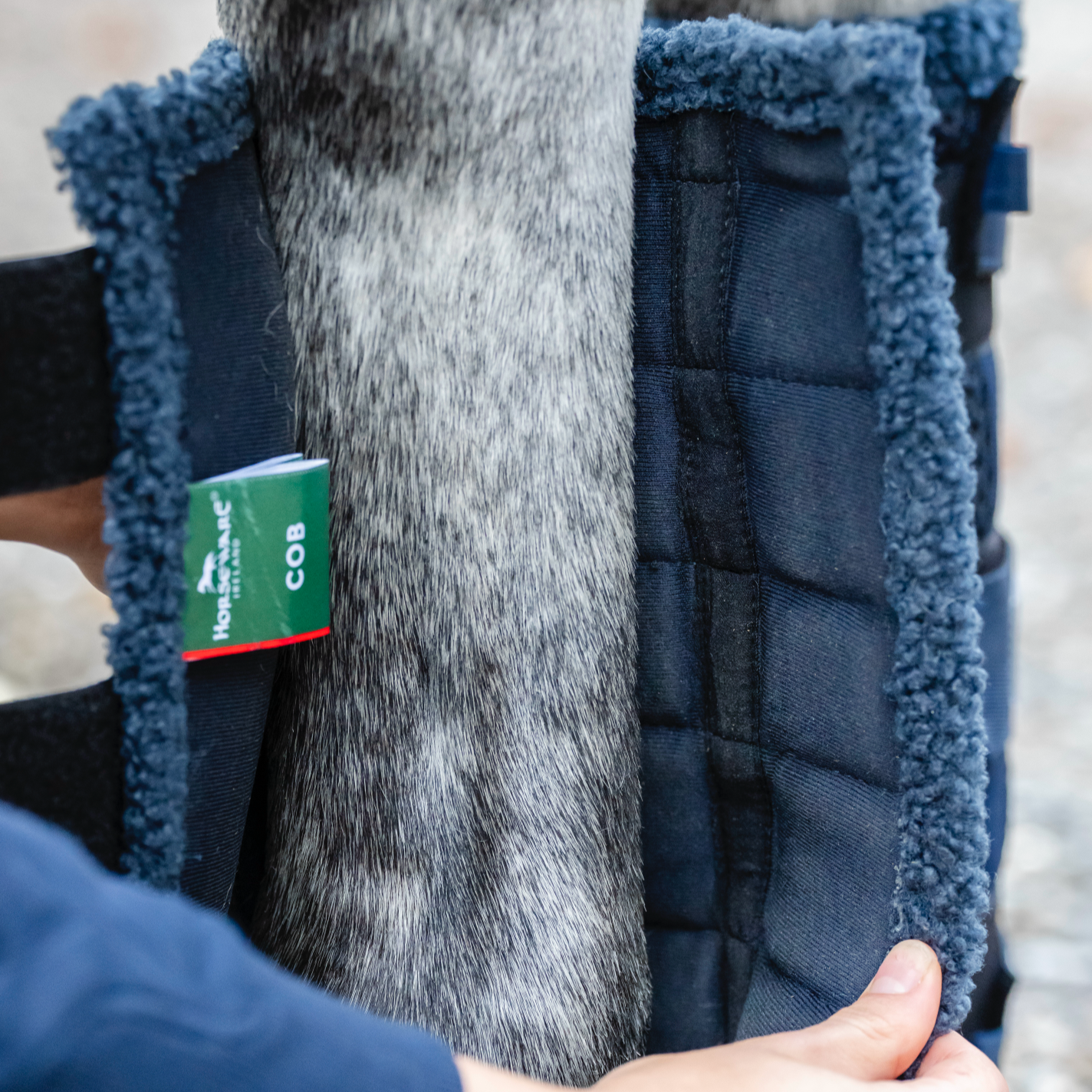 Horseware Show Ready Wraps