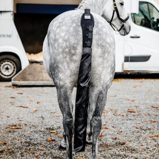 Horseware Tail Guard and Bag