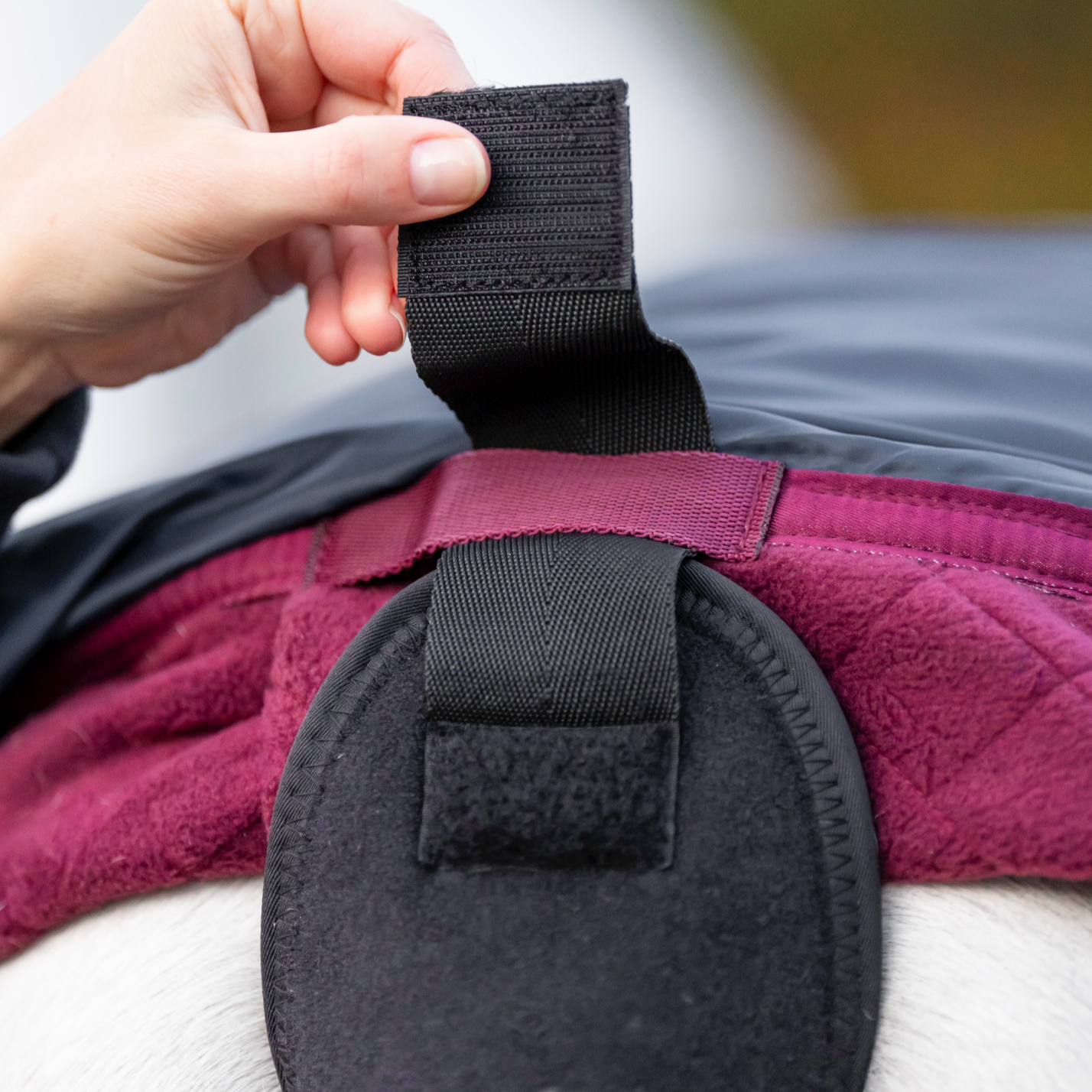 Horseware Tail Guard and Bag