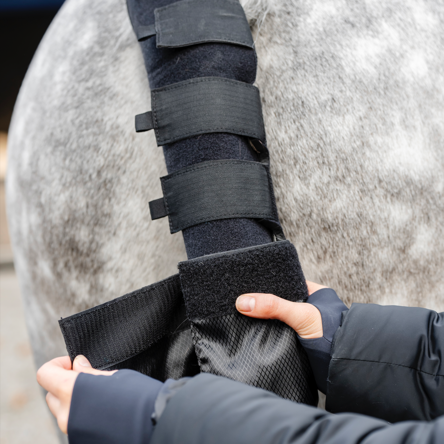 Horseware Tail Guard and Bag