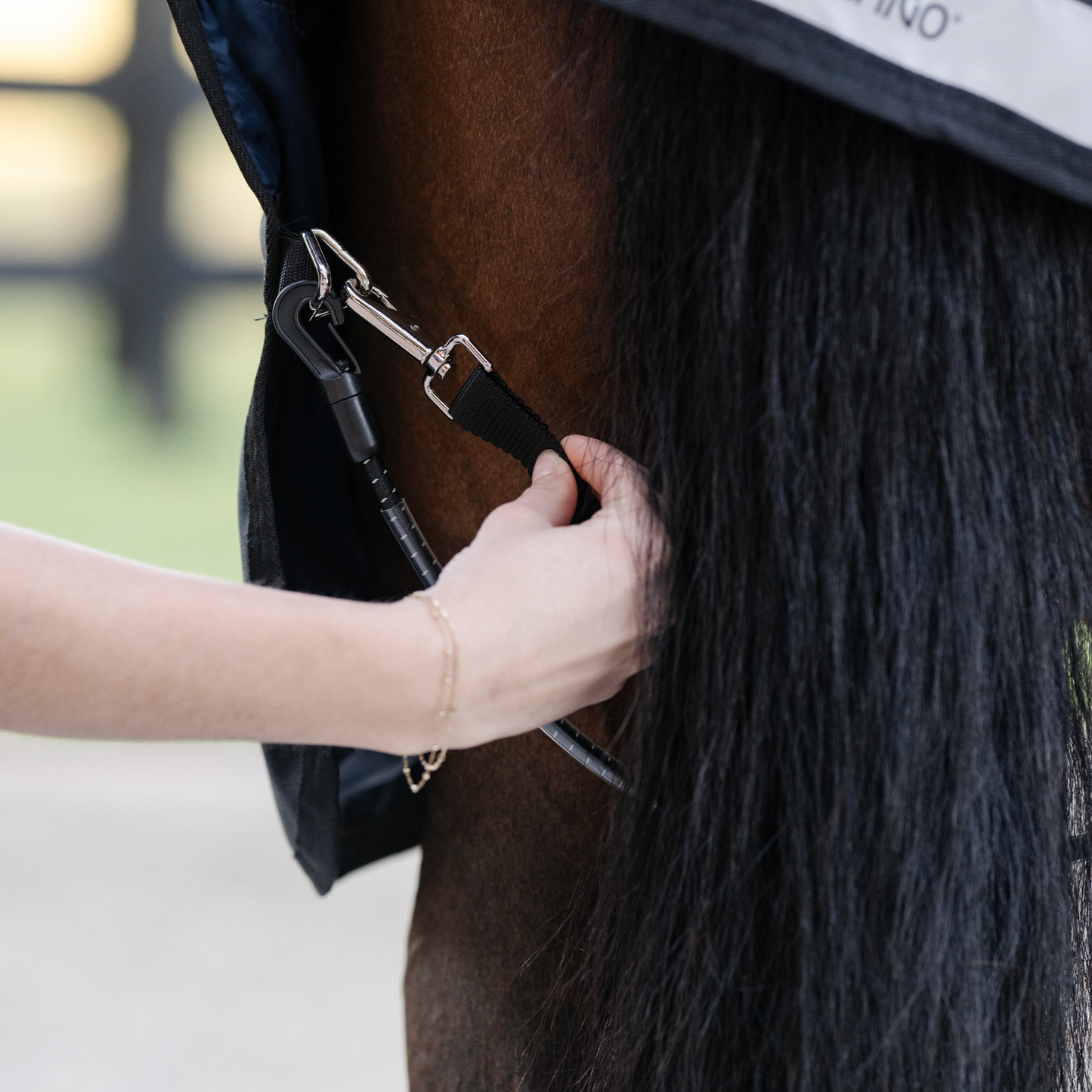 Horseware Elasticated Leg Straps
