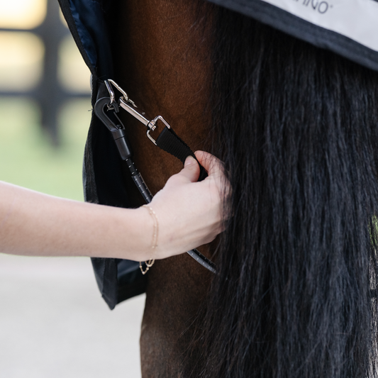 Horseware Elasticated Leg Straps