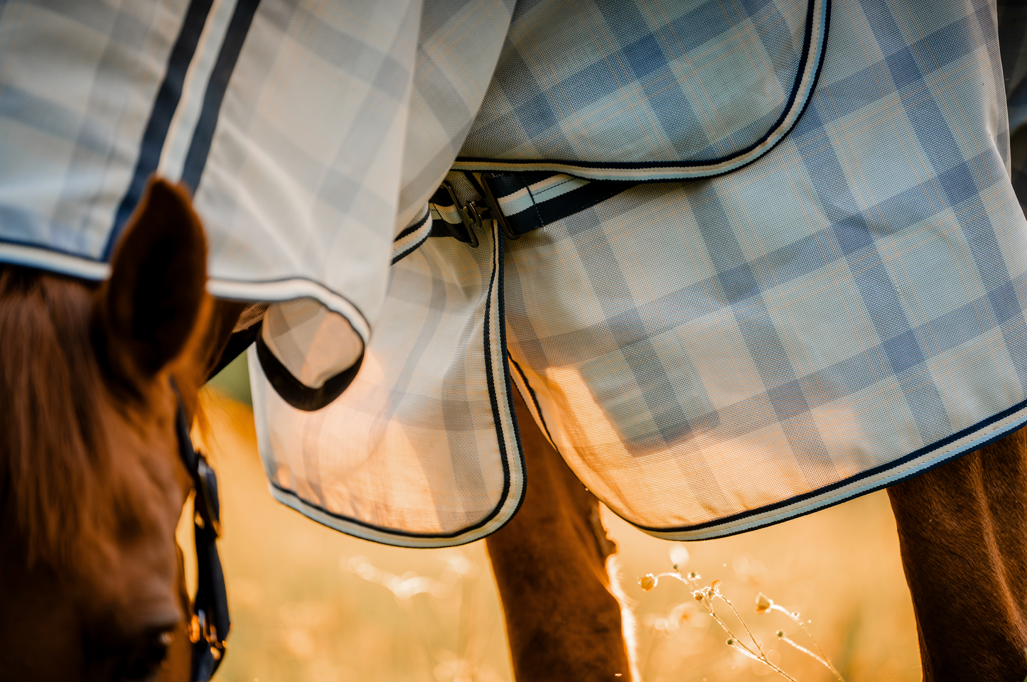 Horseware Newmarket Pony Plus Fly Sheet