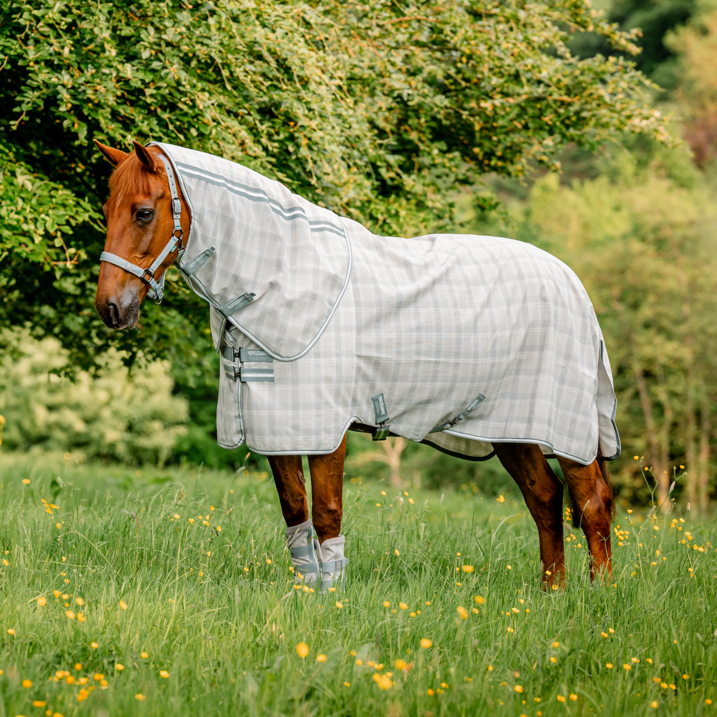 Horseware Newmarket Plus Fly Sheet