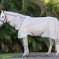 Amigo Integrated Fly Sheet