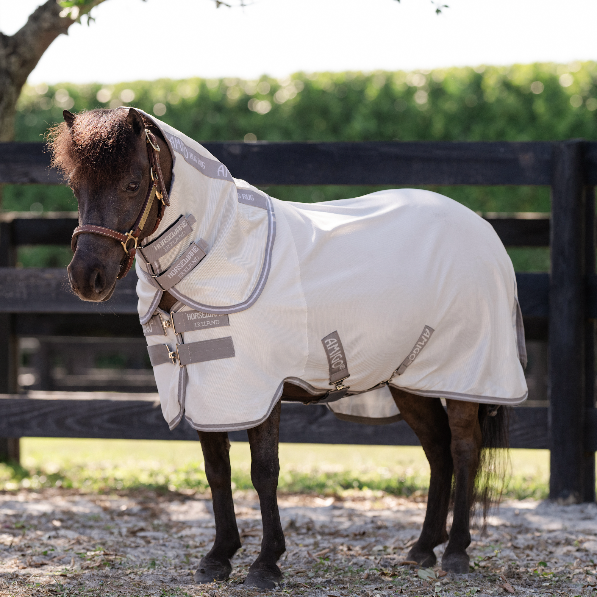 Amigo Bug Rug Plus Petite – Leader Equine