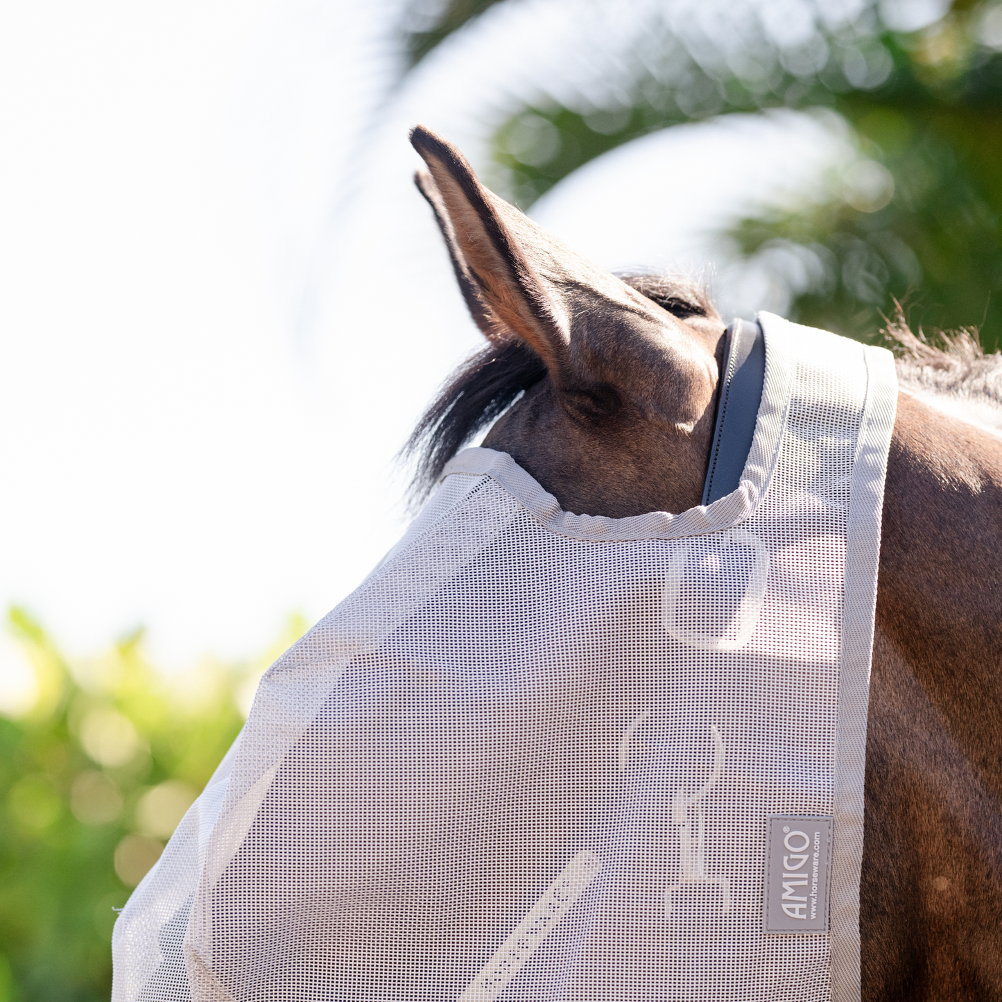 Amigo No Ears Flymask