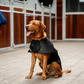 Horseware LED Red Light Therapy Pet Coat