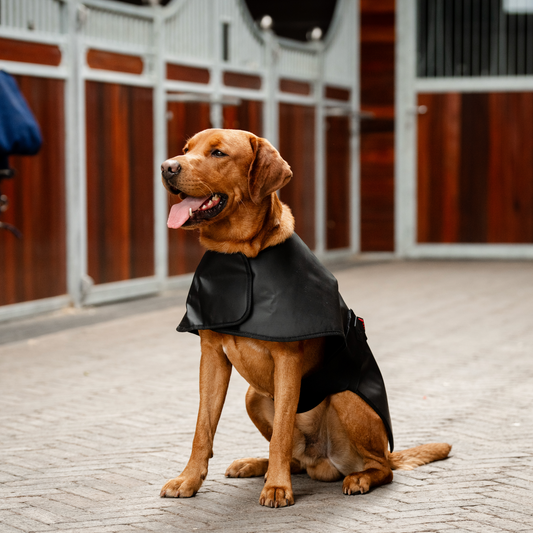 Horseware LED Red Light Therapy Pet Coat
