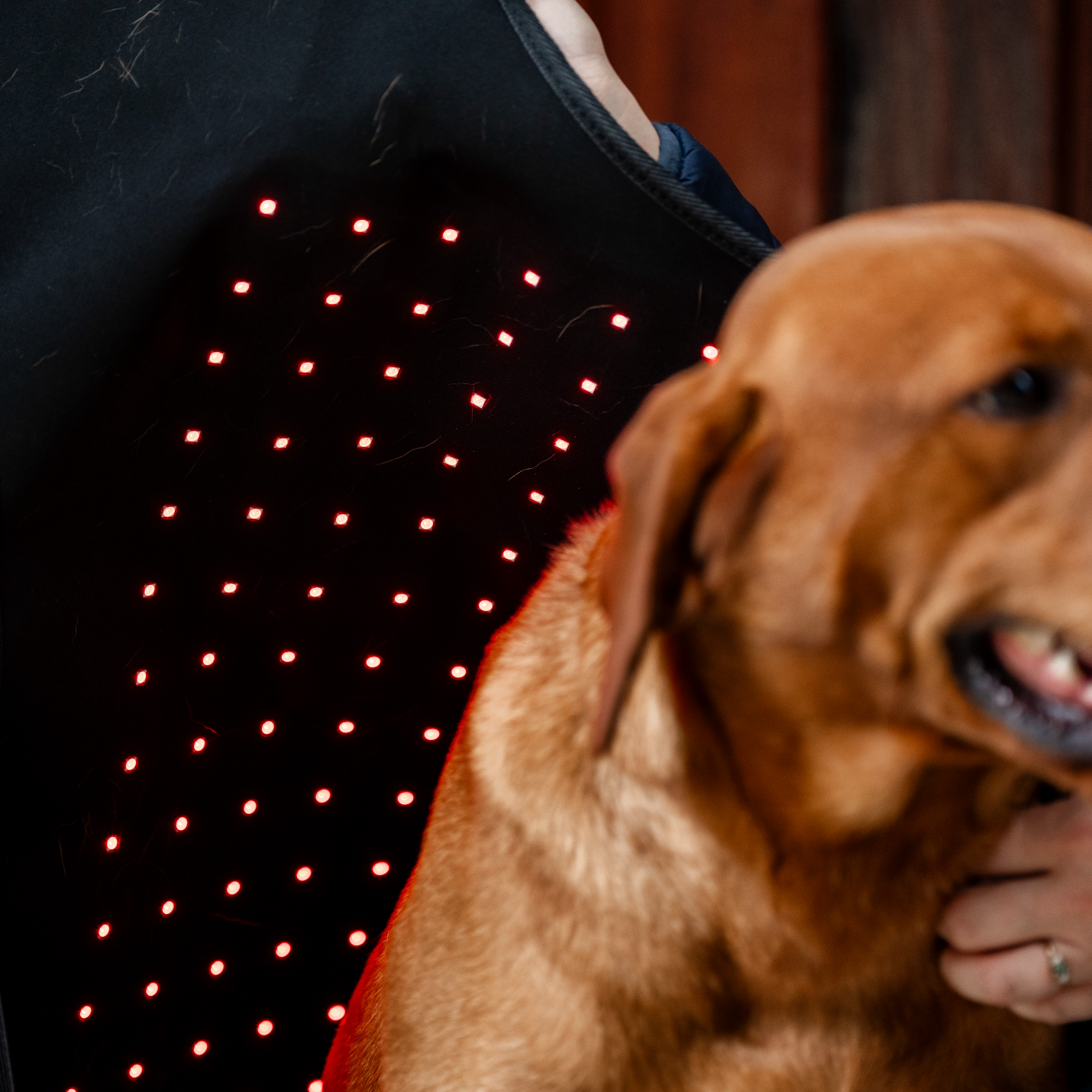 Horseware LED Red Light Therapy Pet Coat