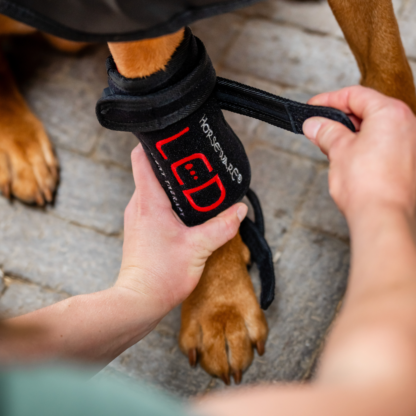 Horseware LED Red Light Therapy Pet Leg Wrap