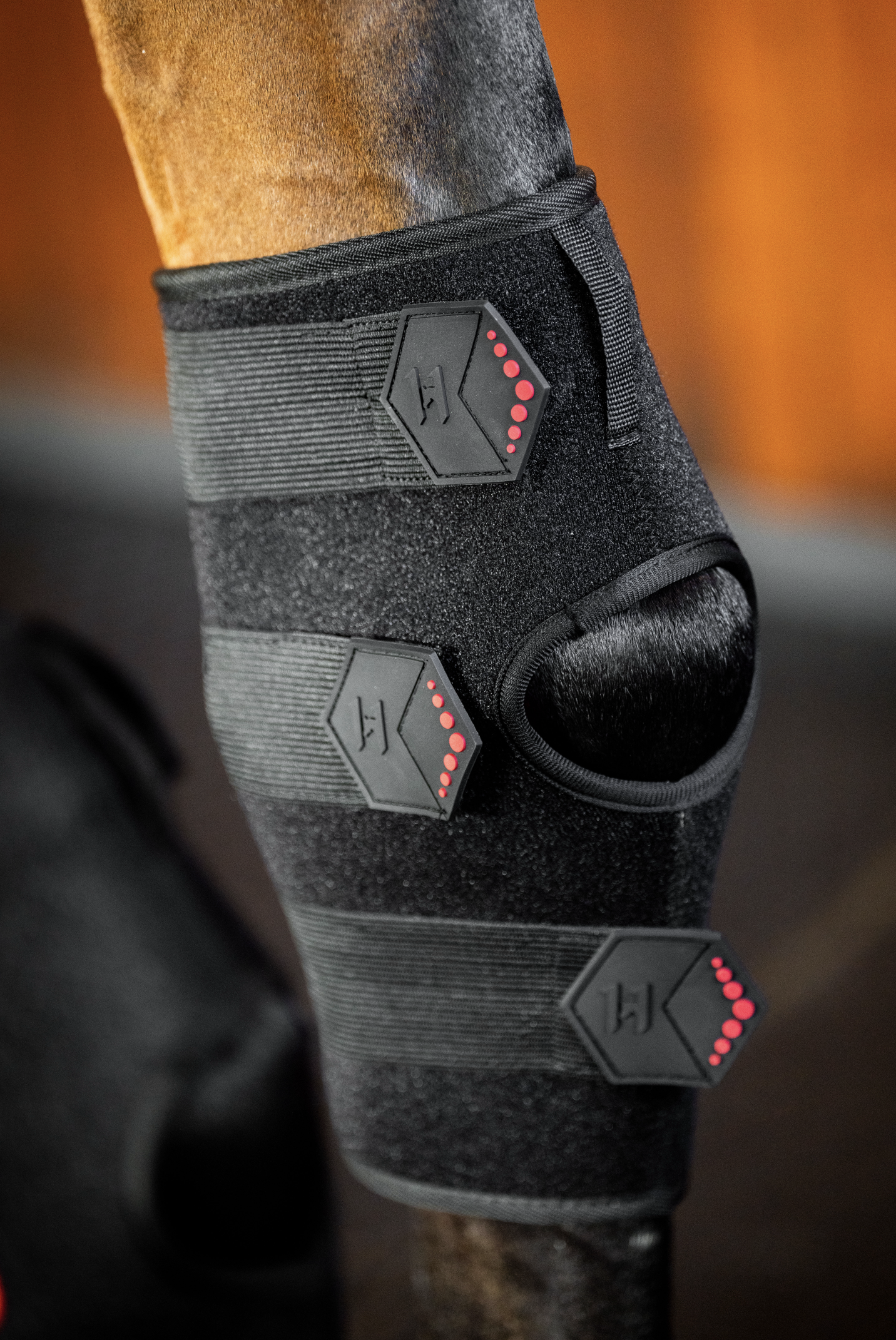 Horseware LED Red Light Therapy Hock Boot