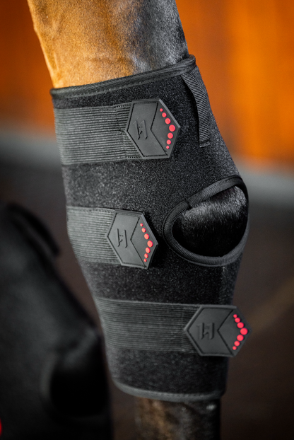 Horseware LED Red Light Therapy Hock Boot
