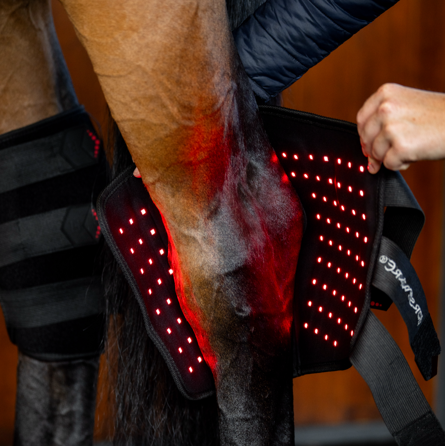 Horseware LED Red Light Therapy Hock Boot