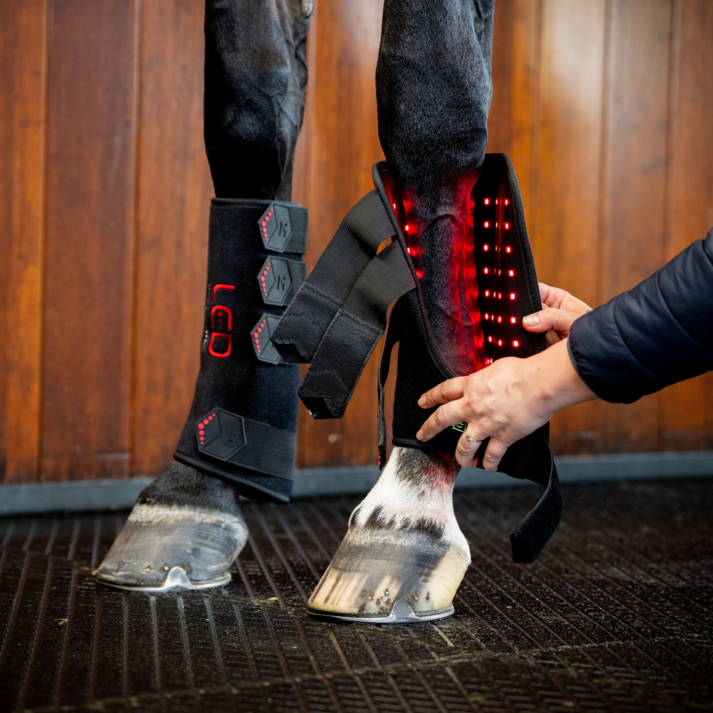 Horseware LED Red Light Therapy Leg Wrap