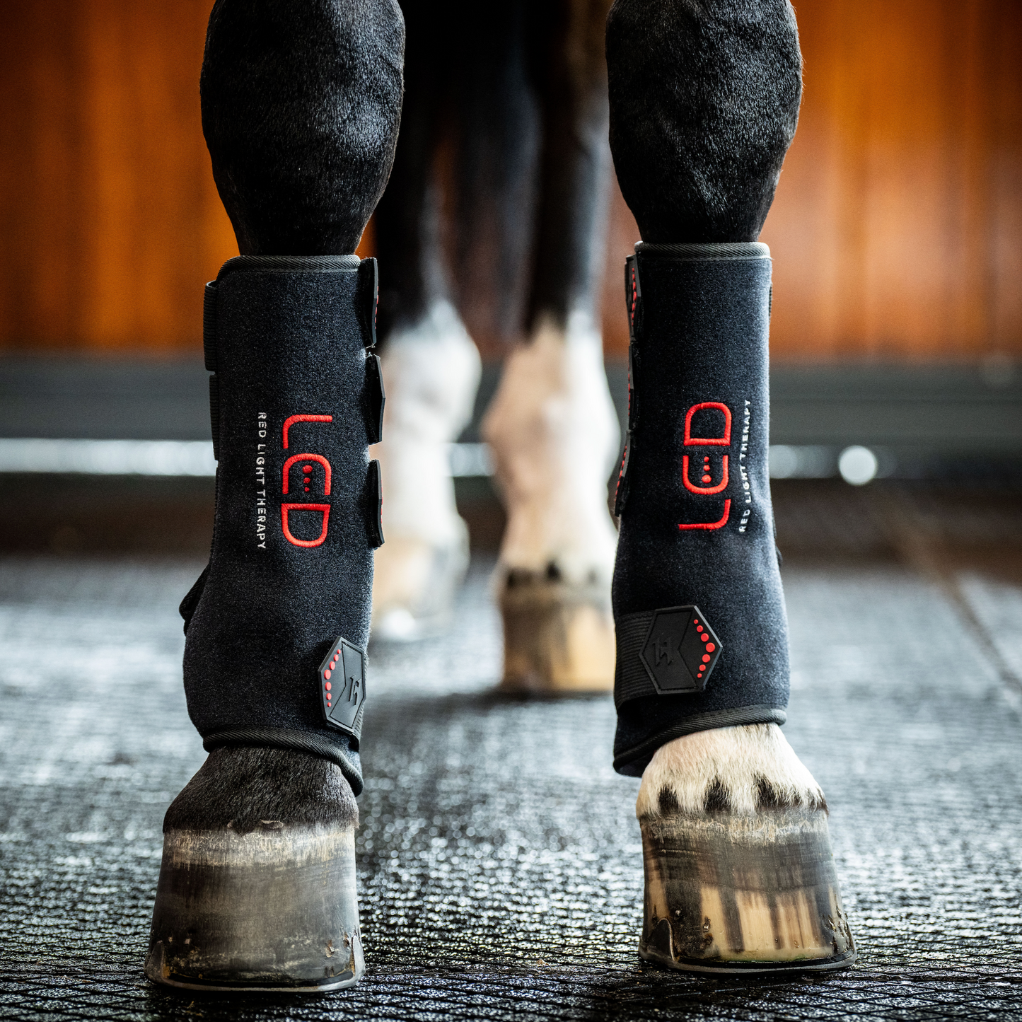 Horseware LED Red Light Therapy Leg Wrap