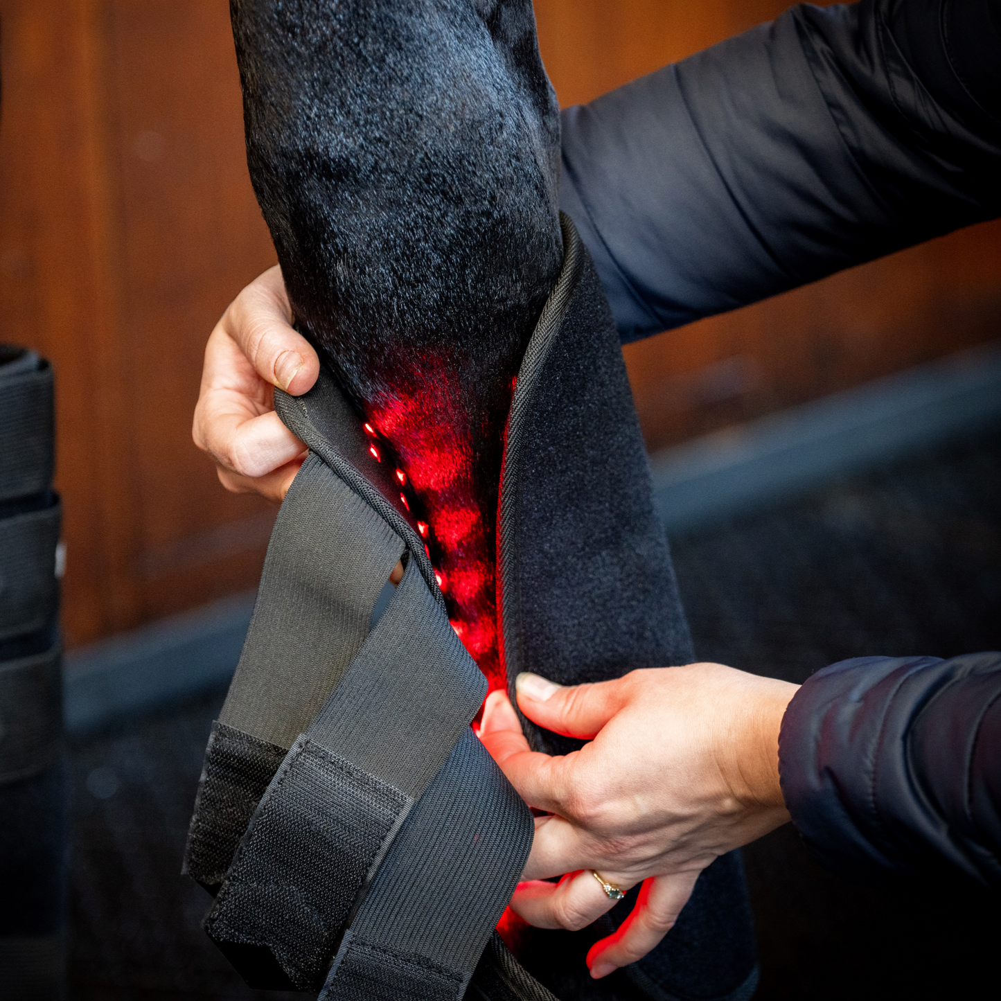 Horseware LED Red Light Therapy Leg Wrap