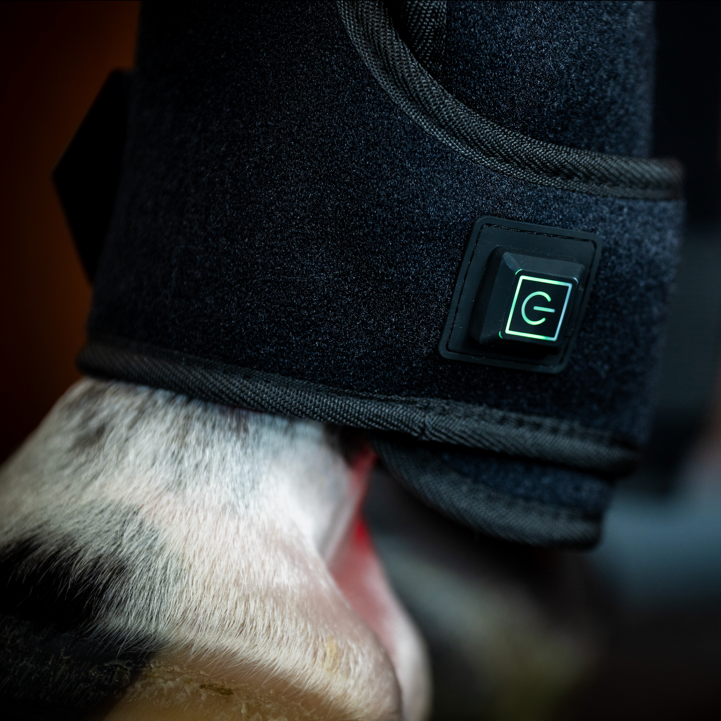 Horseware LED Red Light Therapy Leg Wrap
