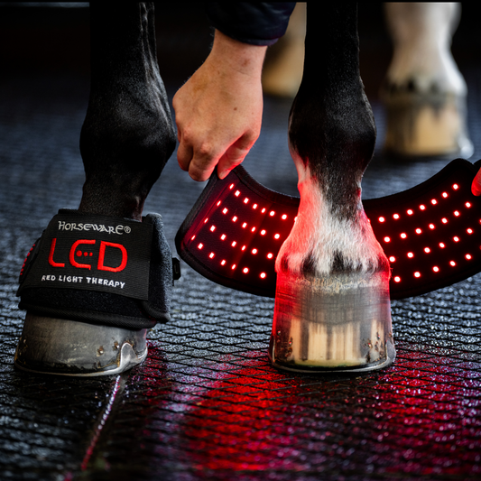 Horseware LED Red Light Therapy Mini Wrap