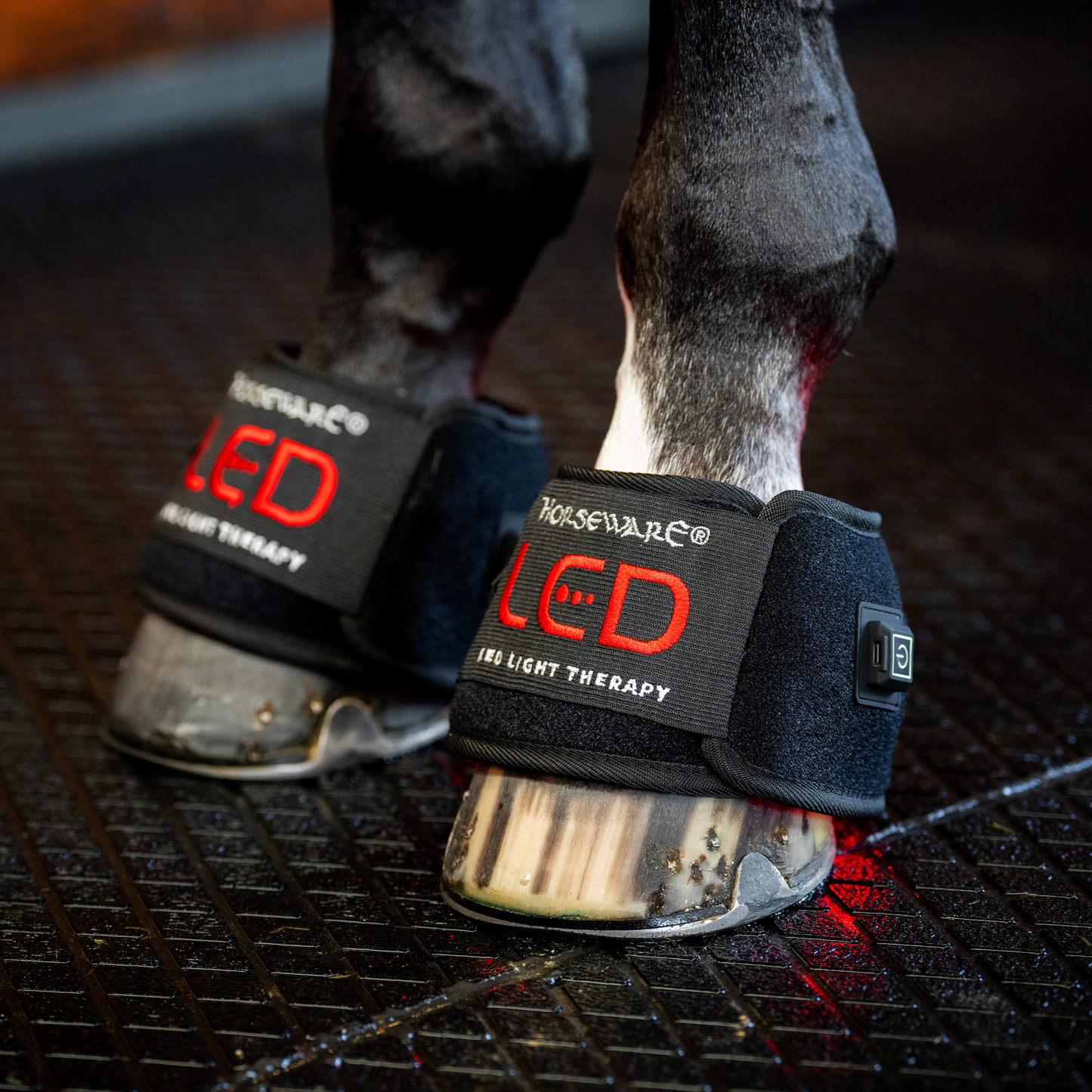 Horseware LED Red Light Therapy Mini Wrap