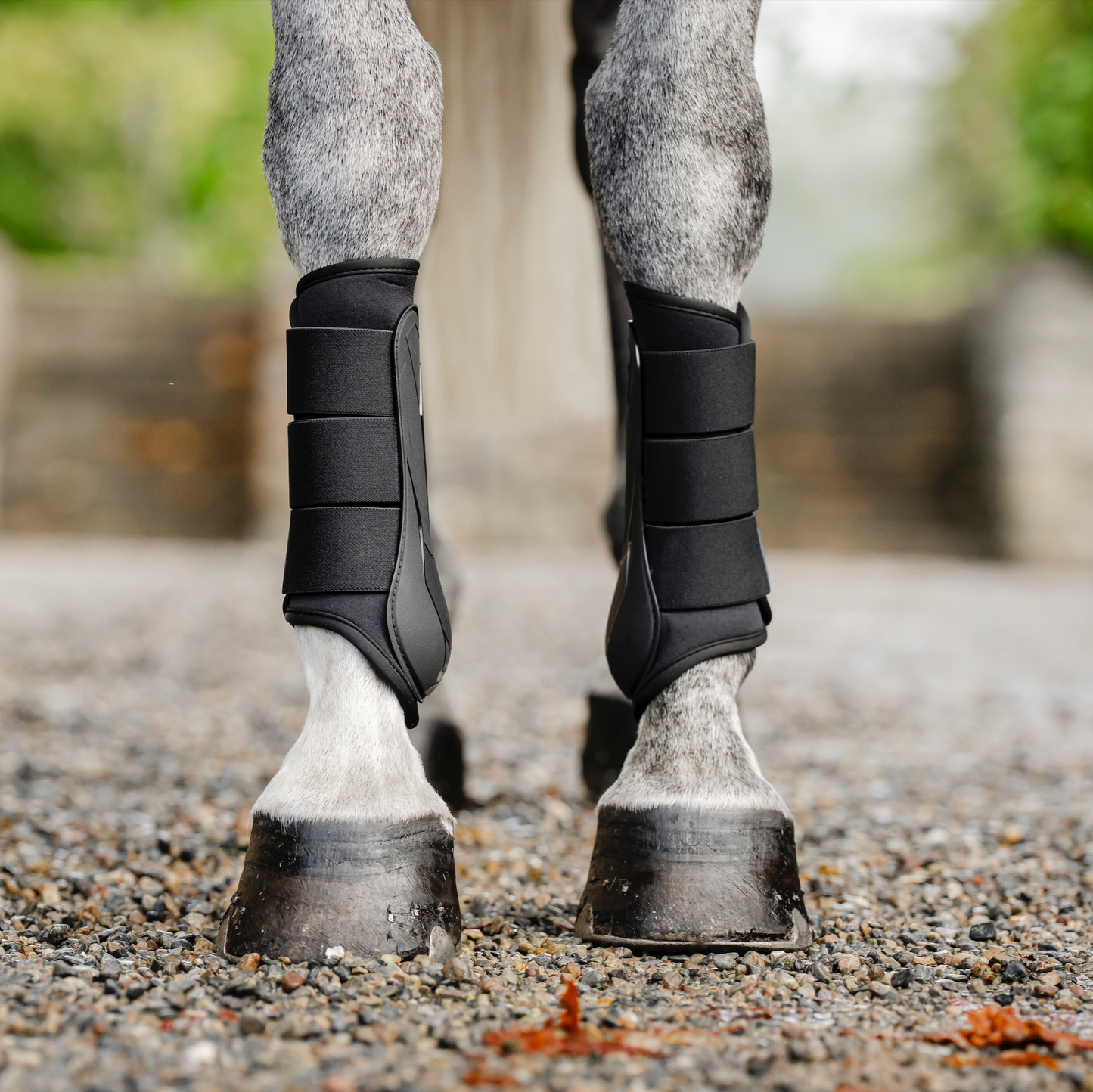 Horseware Classic Brushing Boots