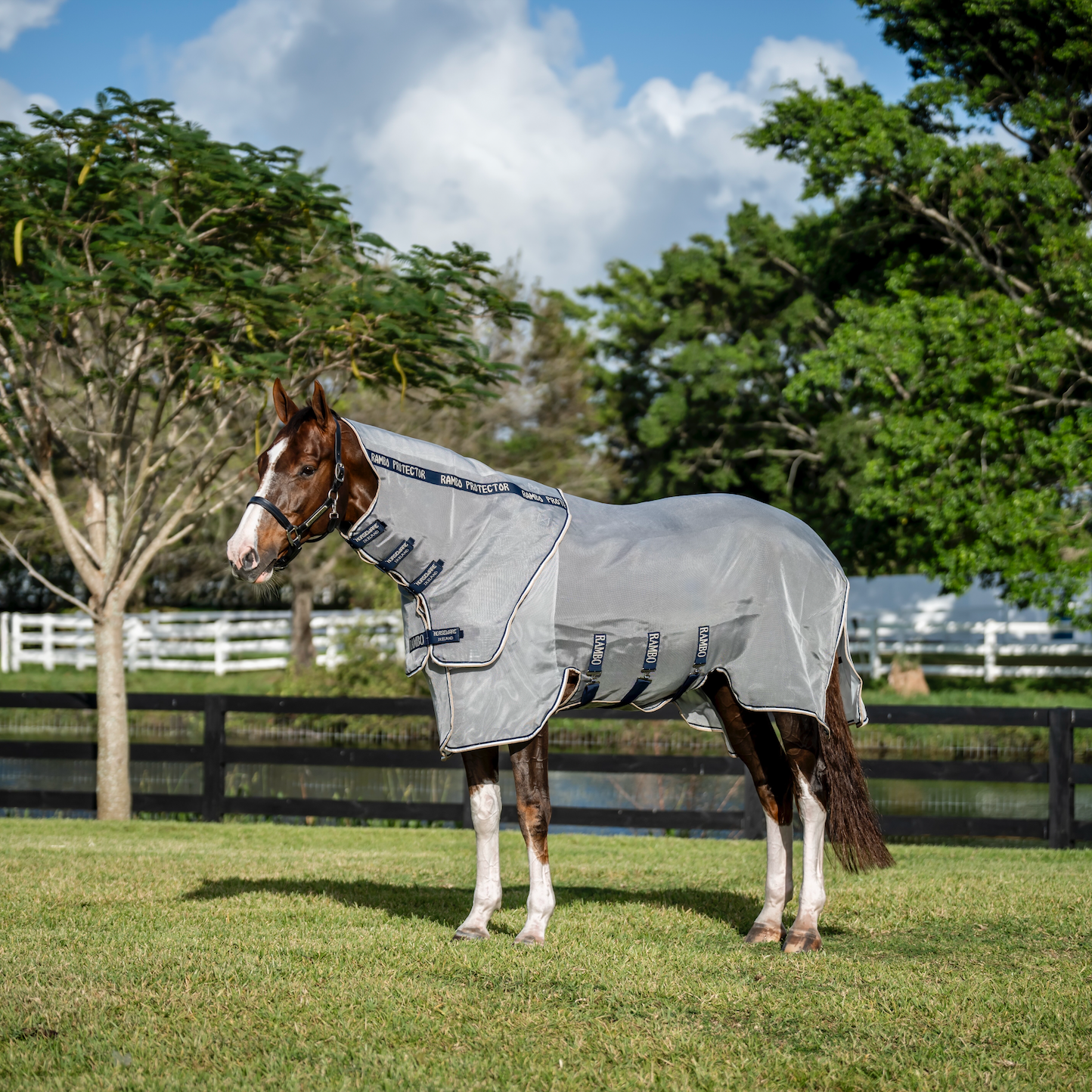 Rambo Protector Plus Fly Rug