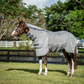 Rambo Protector Plus Fly Rug