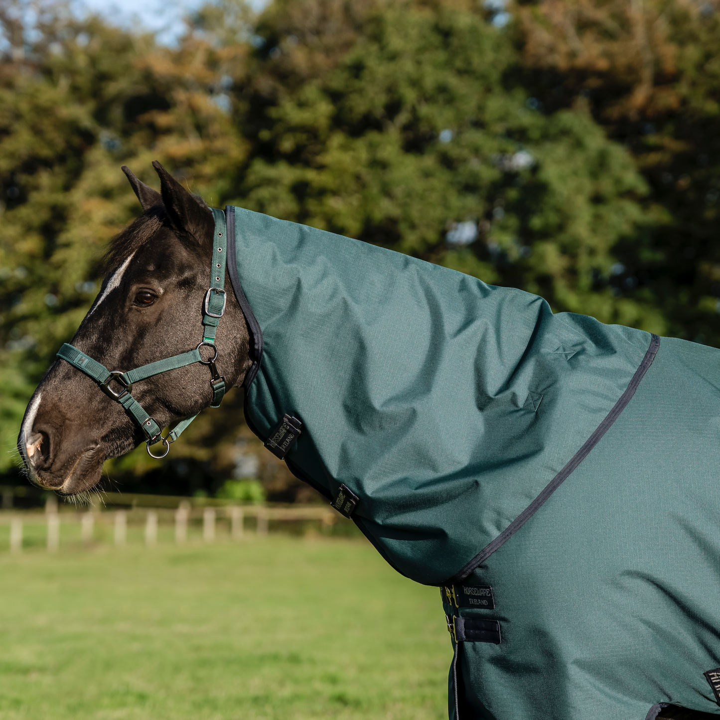 Amigo Ripstop 900D Plus Pony Turnout 0g