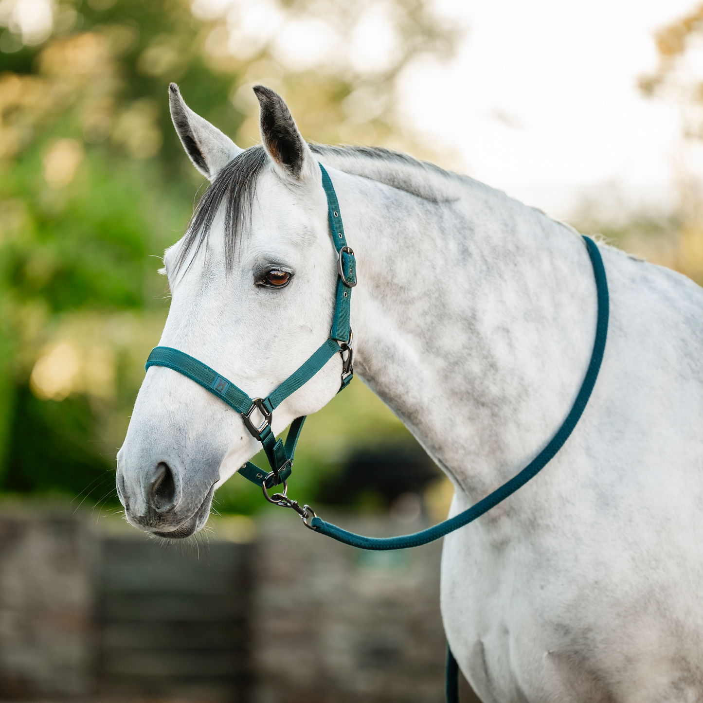 Horseware Headcollar & Leadrope