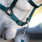 Horseware Headcollar & Leadrope