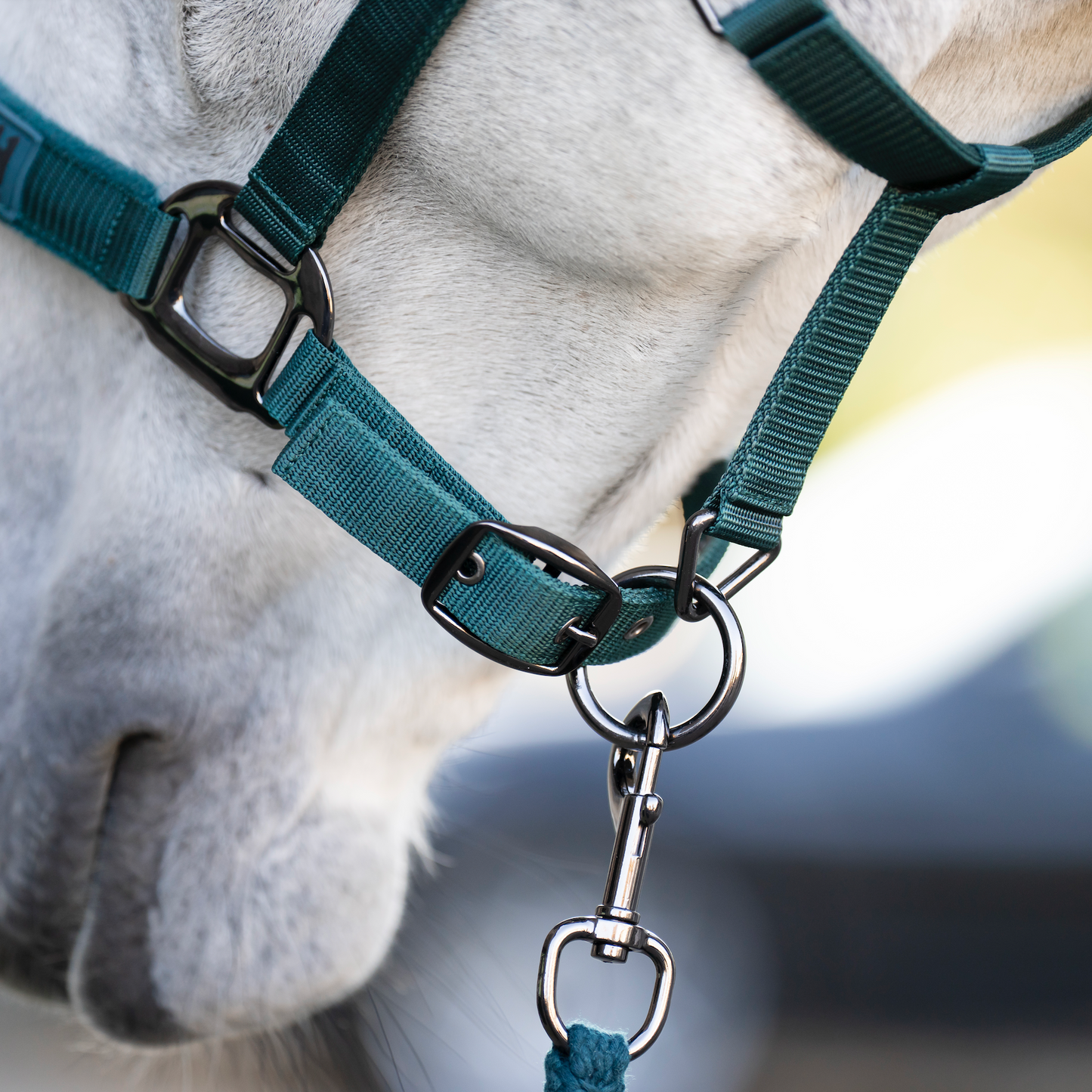 Horseware Headcollar & Leadrope