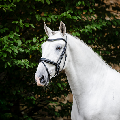 Horseware Dressage Flash Bridle
