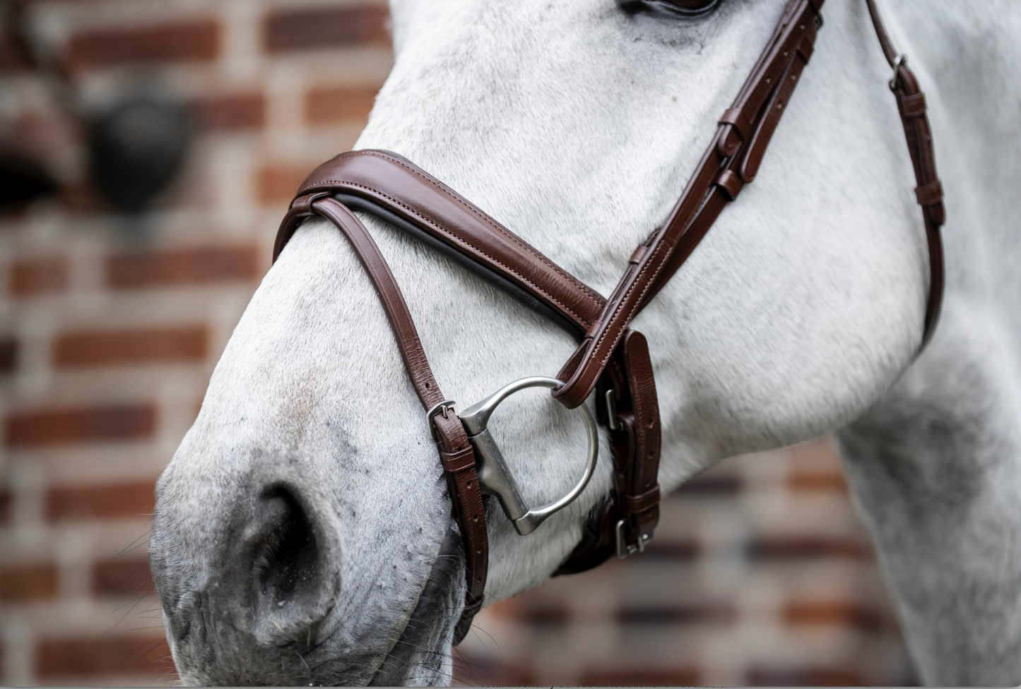 Horseware Dressage Flash Bridle