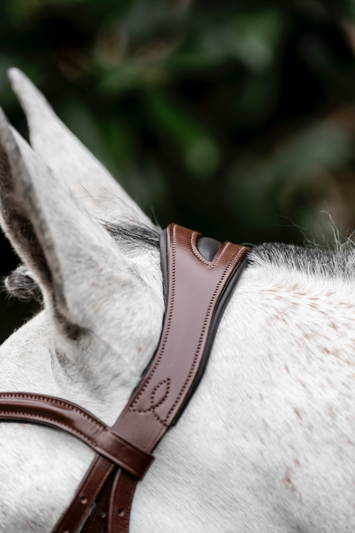 Horseware Dressage Flash Bridle