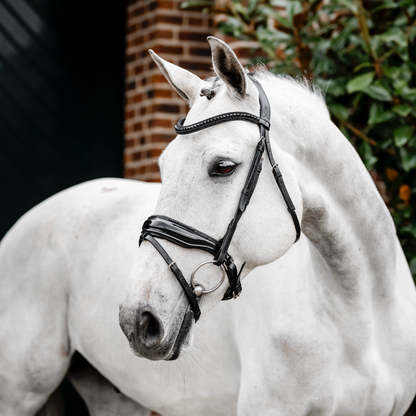 Horseware Diamante Flash Bridle