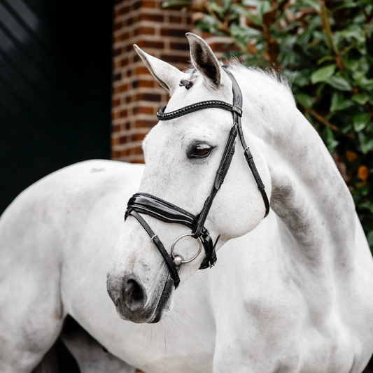 Horseware Diamante Flash Bridle