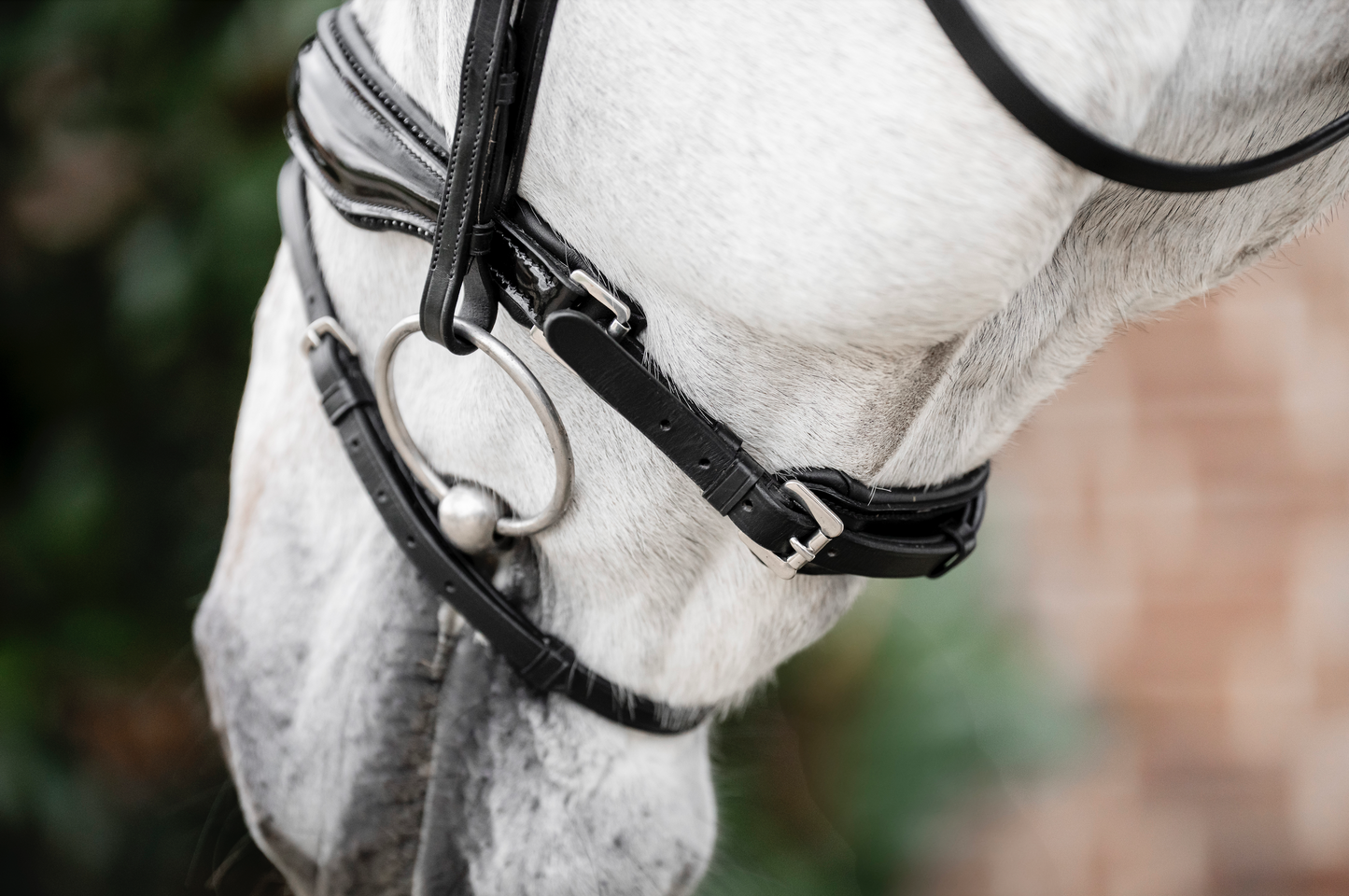 Horseware Diamante Flash Bridle