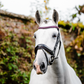 Horseware Diamante Flash Bridle