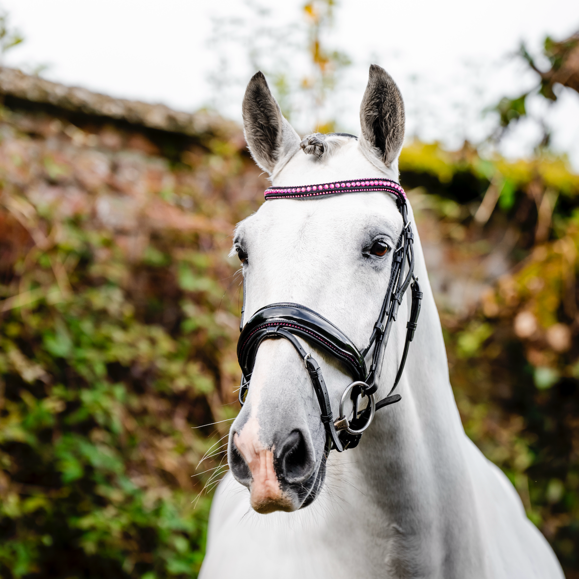 Horseware Diamante Flash Bridle