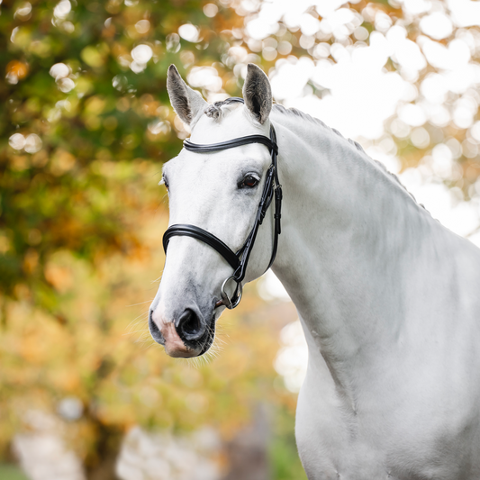 Horseware Cavesson Bridle