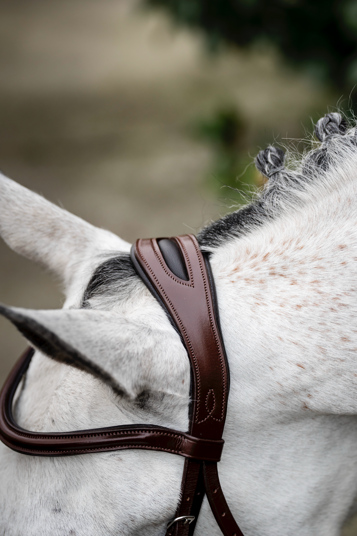 Horseware Cavesson Bridle