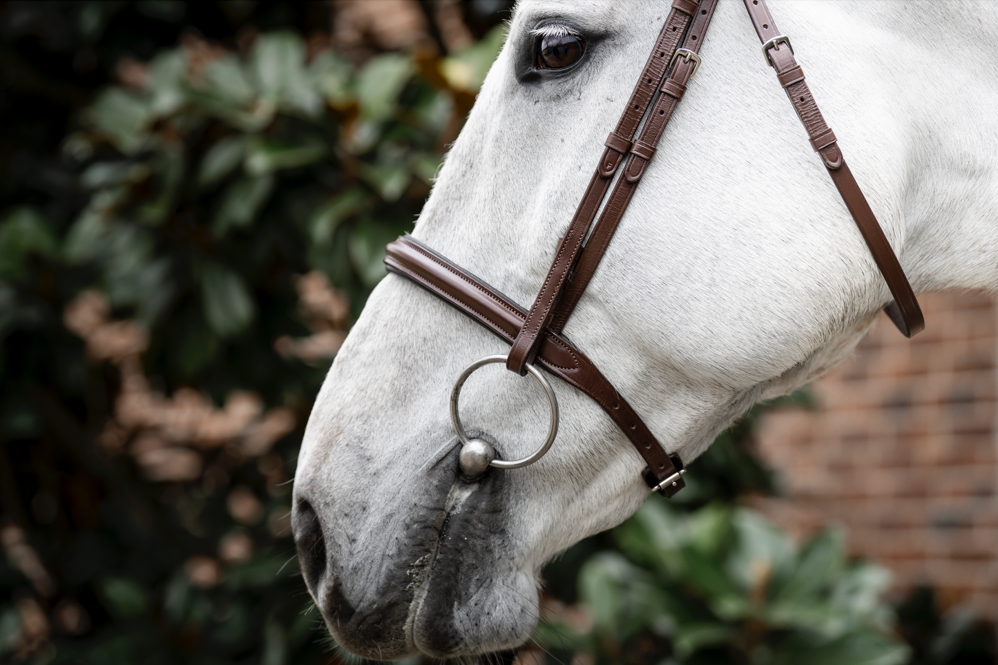Horseware Cavesson Bridle